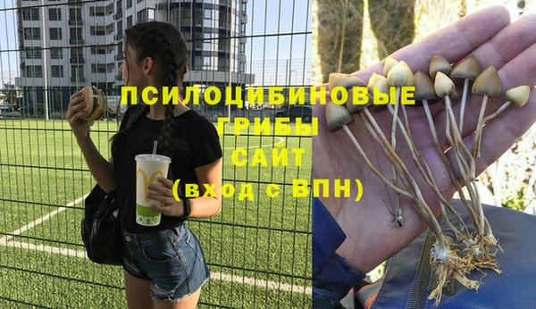 ешки Алексеевка