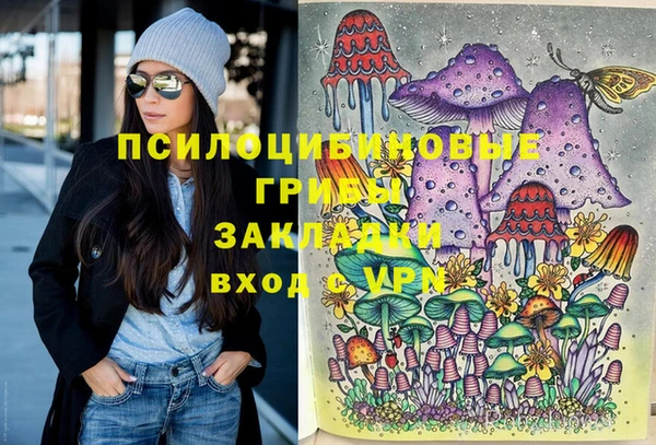 PSILOCYBIN Алексин