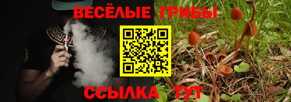 Галлюциногенные грибы Magic Shrooms  Галлюциногенные грибы мицелий  цена   Калач-на-Дону  Вход с VPN 